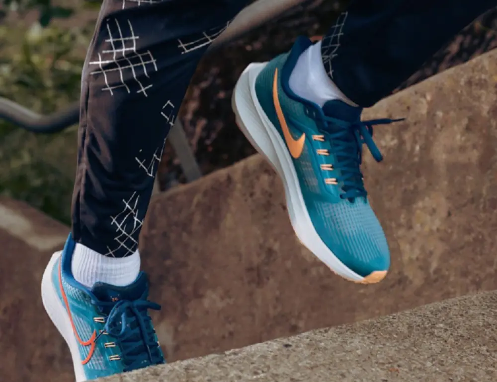 Giày Nike Air Zoom Pegasus 39 'Spruce Crimson' DH4071-302 - Ảnh 4