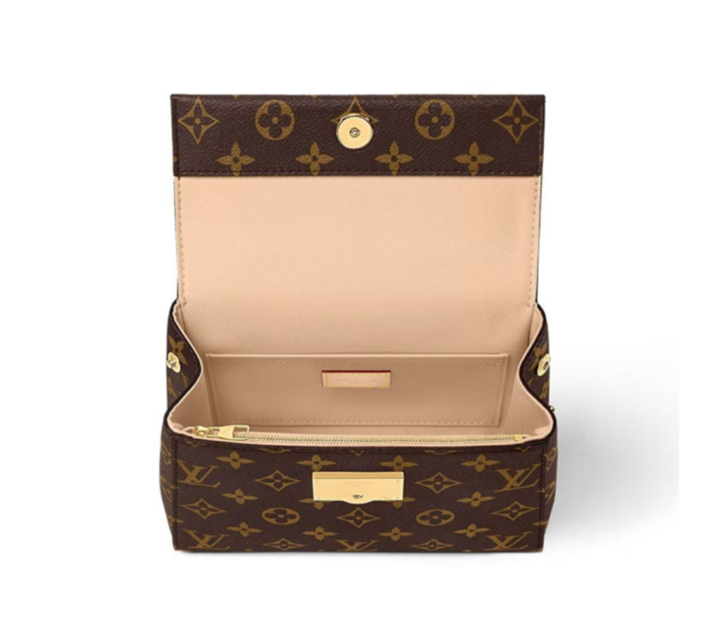 Túi Louis Vuitton Cluny Mini Bag 'Brown' M46055 - Ảnh 4