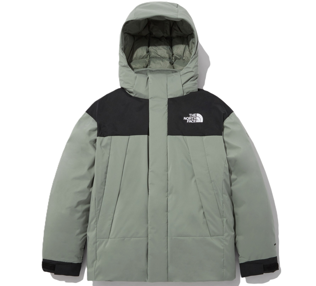 Áo The North Face 'Green' NJ2DN50D