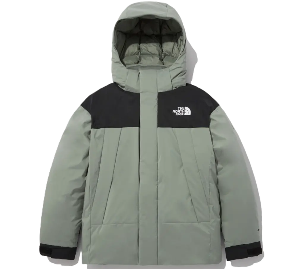 Áo The North Face 'Green' NJ2DN50D