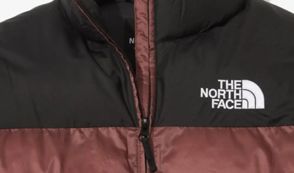 Áo The North Face 'Brick Red' NJ3NN62A - Ảnh 3