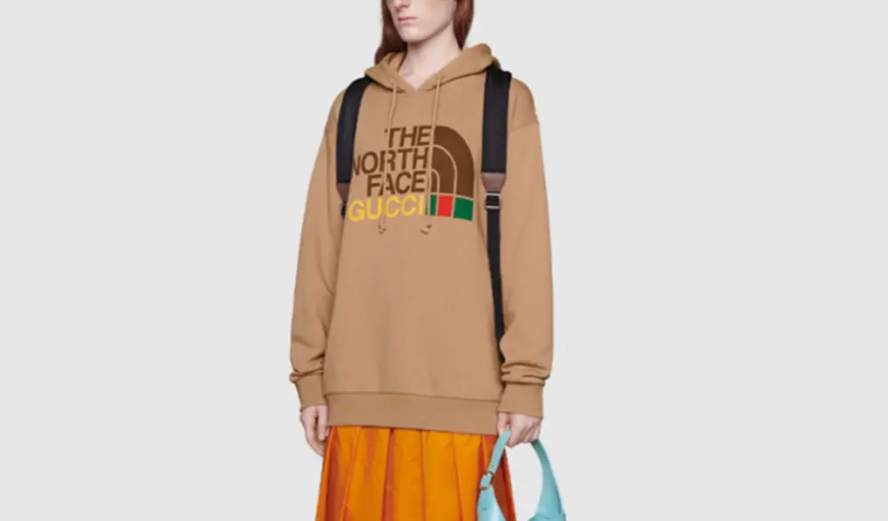 Alternative view of Áo Gucci x The North Face Cotton Hoodie ‘Brown’ 615061-XJDBY-2597