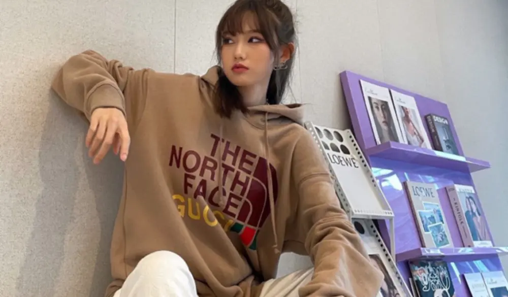 Áo Gucci x The North Face Cotton Hoodie ‘Brown’ 615061-XJDBY-2597 - Ảnh 3