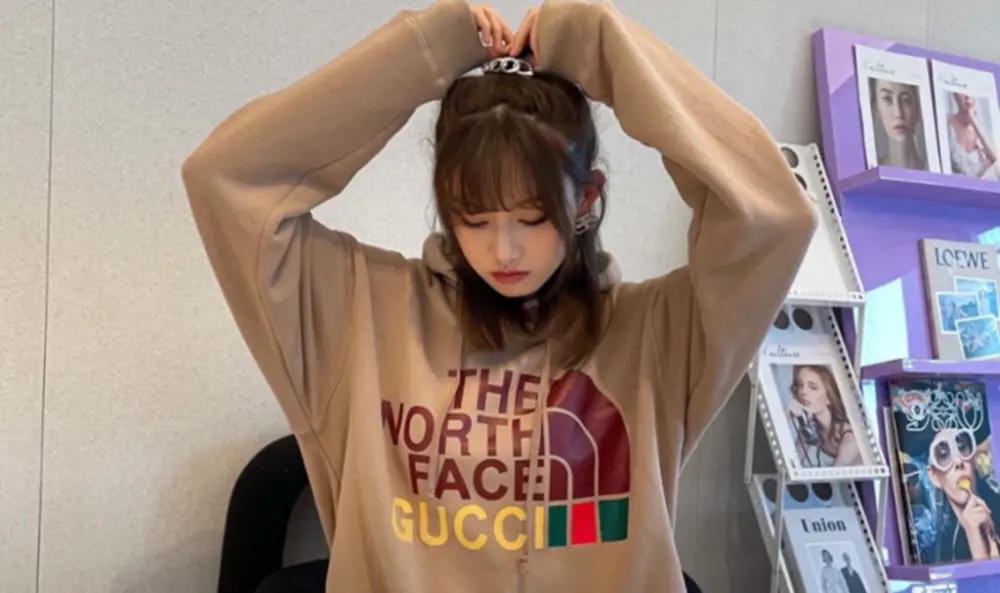 Áo Gucci x The North Face Cotton Hoodie ‘Brown’ 615061-XJDBY-2597 - Ảnh 4