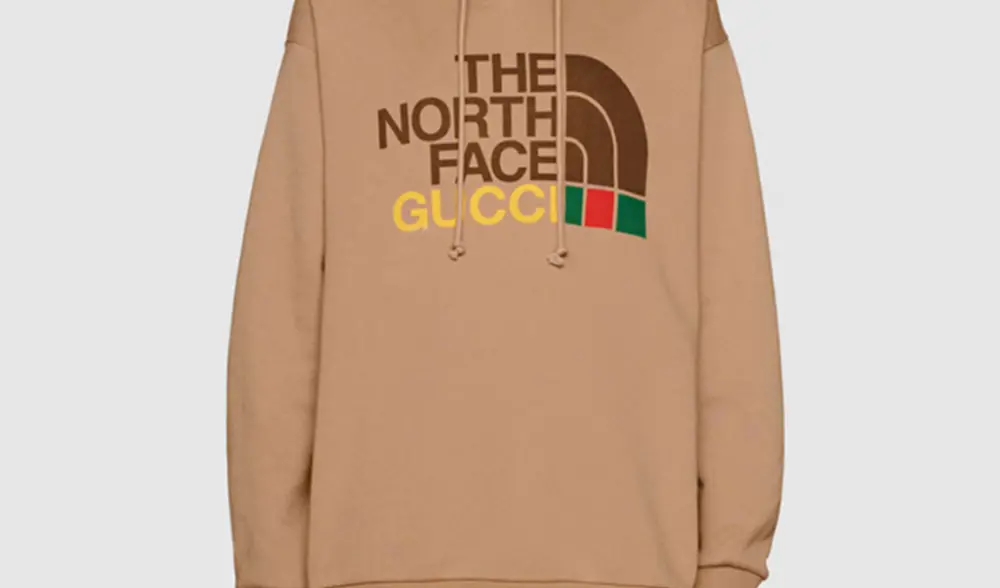 Áo Gucci x The North Face Cotton Hoodie ‘Brown’ 615061-XJDBY-2597 - Ảnh 5