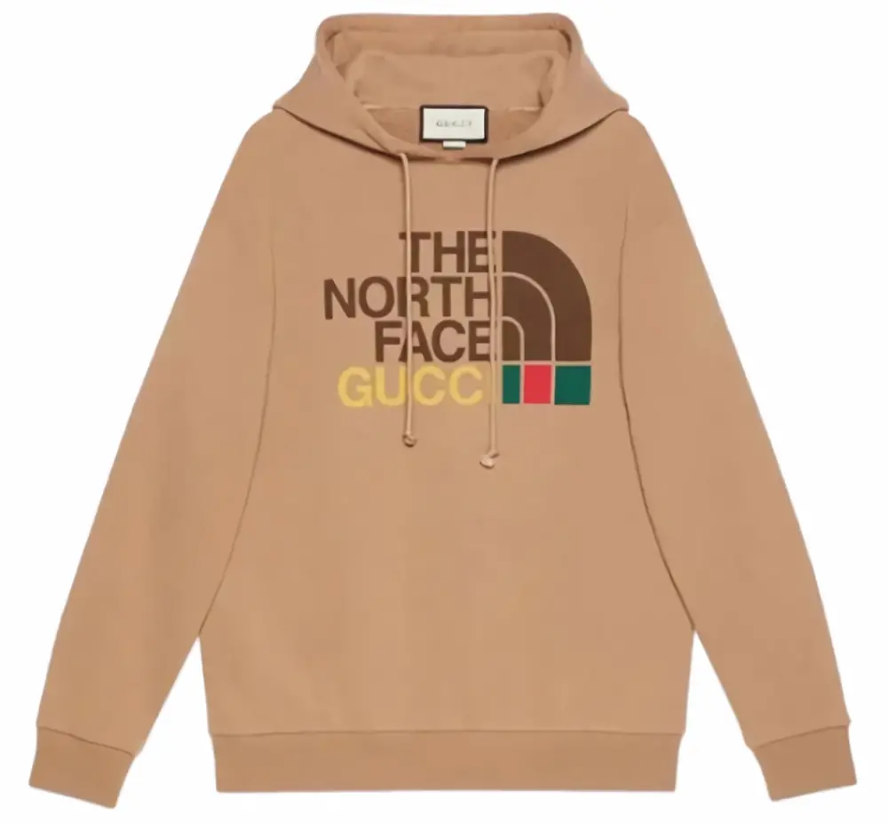 Áo Gucci x The North Face Cotton Hoodie ‘Brown’ 615061-XJDBY-2597