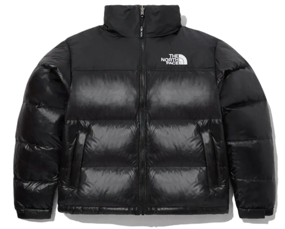 Áo The North Face Korea M'S 1996 'Black' NJ1DP75C