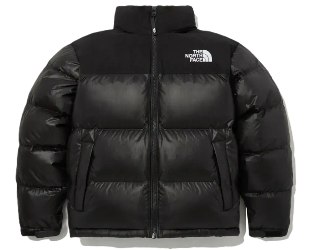 Áo The North Face Novelty Nuptse Down 'Black' NJ1DP62J