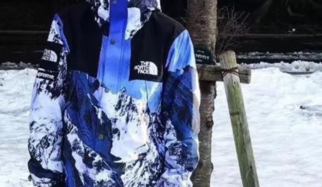 Áo Supreme x The North Face FW17 ‘Mountain Parka’ SUP-SS18-600 - Ảnh 4