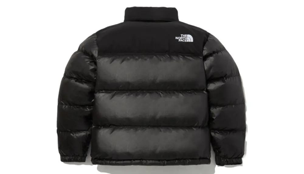 Alternative view of Áo The North Face Novelty Nuptse Down 'Black' NJ1DP62J
