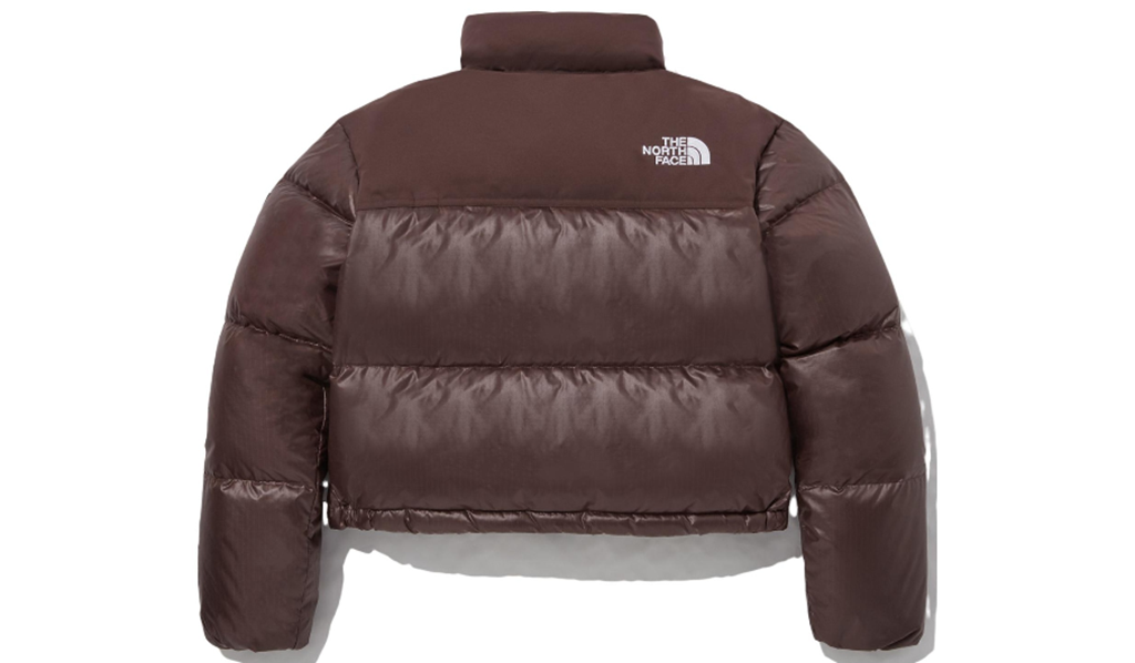 Áo The North Face White Label Novelty Nuptse NJ1DP85P - Ảnh 2