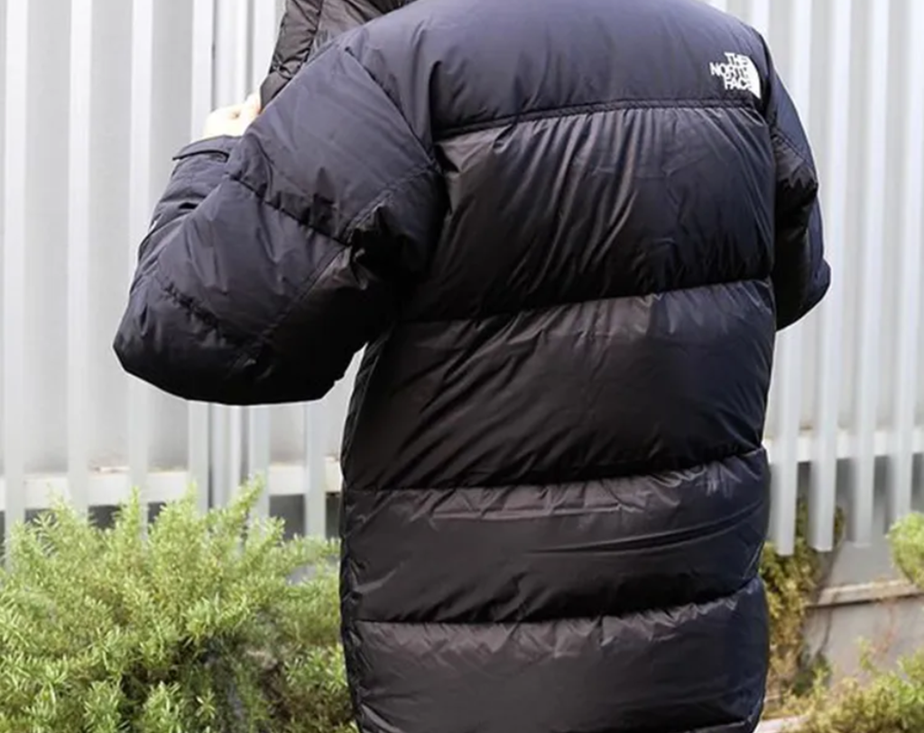 Áo The North Face Hooded Down Hoodie 'Black' ND92031 - Ảnh 2