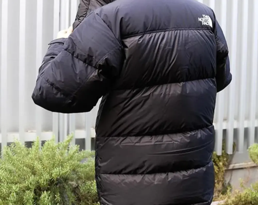 Alternative view of Áo The North Face Hooded Down Hoodie 'Black' ND92031