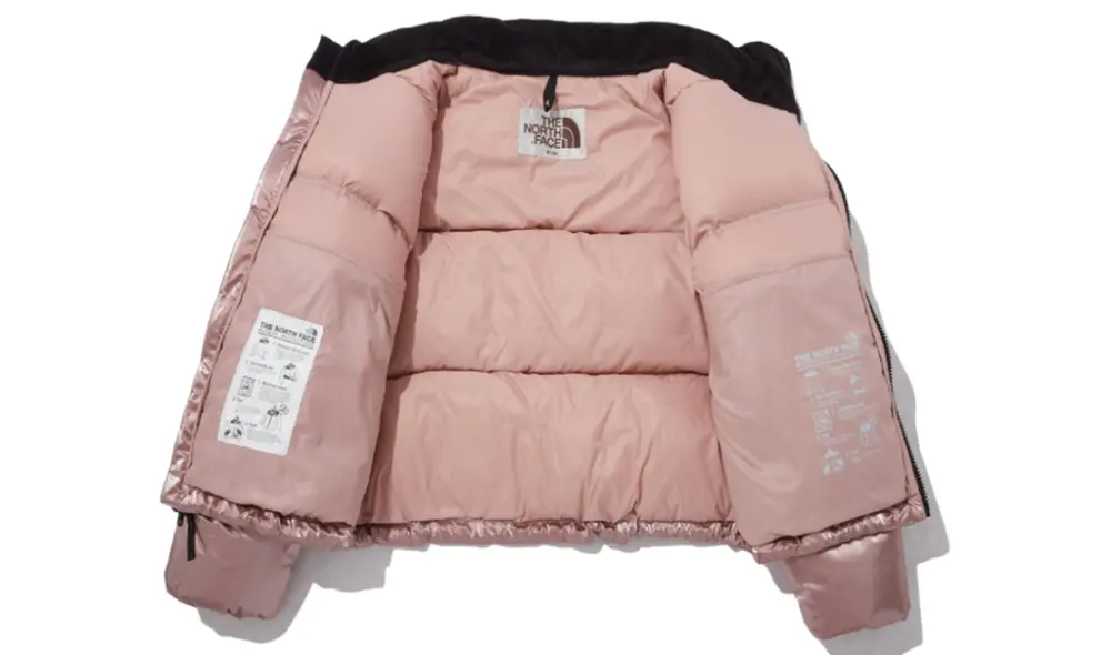 Áo The North Face 'Pink' NJ1DP87L - Ảnh 3