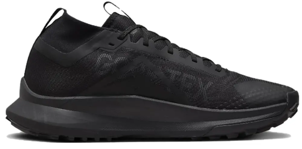 Giày Nike Pegasus Trail 4 GORE-TEX 'Black' DJ7926-008