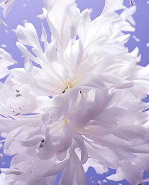 Alternative view of Nước Hoa Roja Scandal EDP