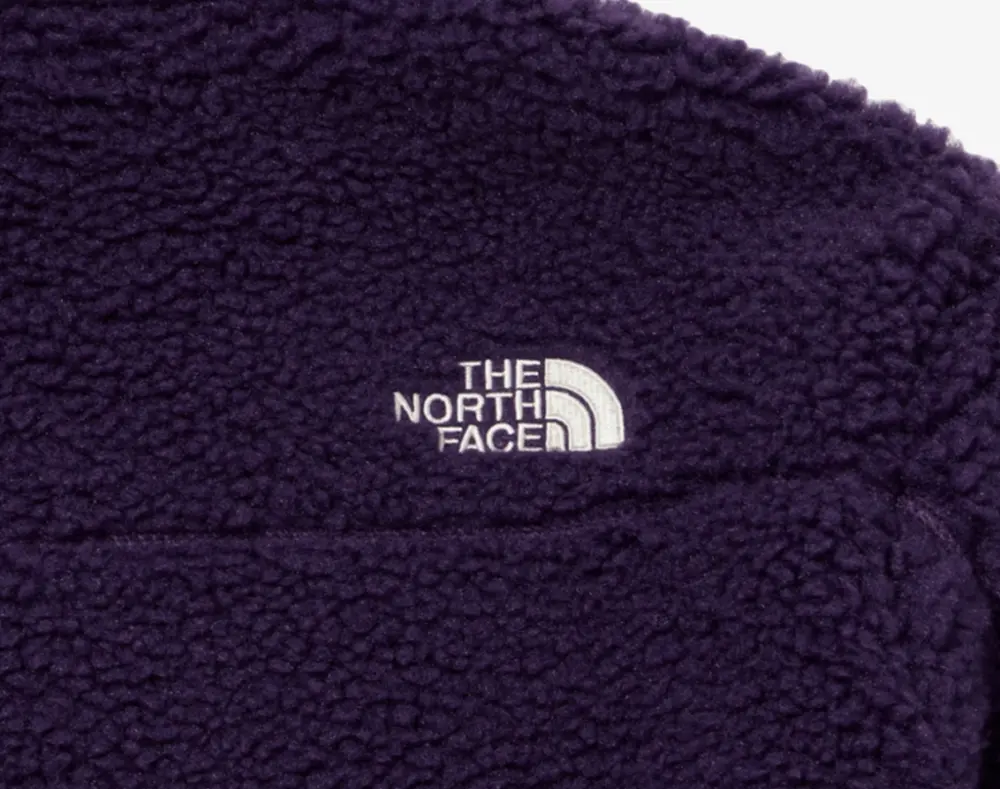 Áo The North Face Label Limo Fleece Jacket ‘Purple’ NJ4FM50N - Ảnh 7