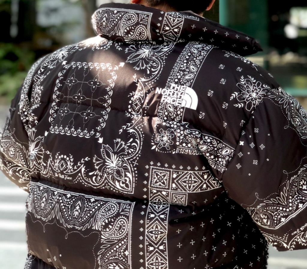 Áo The North Face Novelty Lofty Down Jacket 'Black' NJ1DM76A