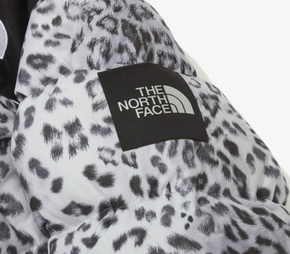 Áo The North Face Novelty Nuptse Down Jacket ‘Silver’ NJ1DN51L - Ảnh 5