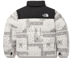 Áo The North Face Novelty Nuptse Jacket ‘White’ NJ1DN76N