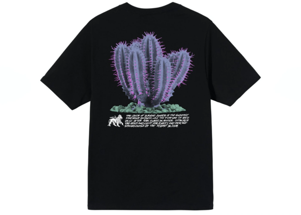 Áo Stussy Desert Bloom Tee ‘Black’ - Ảnh 4
