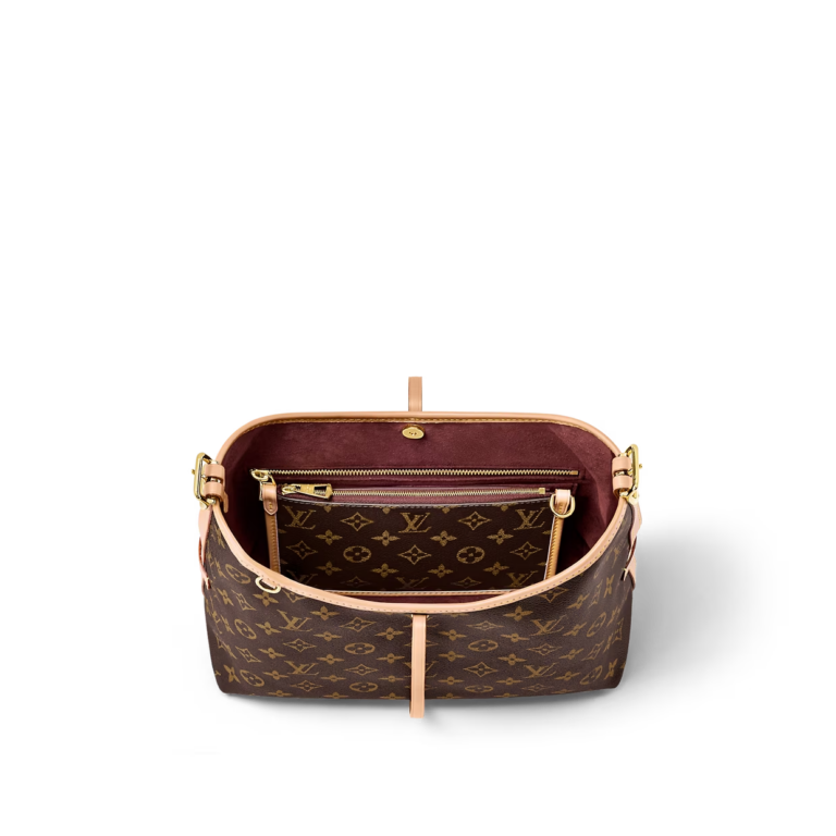 Túi Louis Vuitton CarryAll PM Bag ‘Brown’ M46203 - Ảnh 5