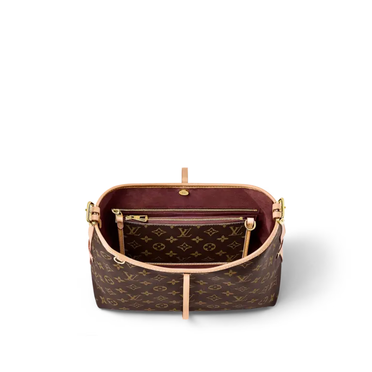 Túi Louis Vuitton CarryAll PM Bag ‘Brown’ M46203 - Ảnh 5