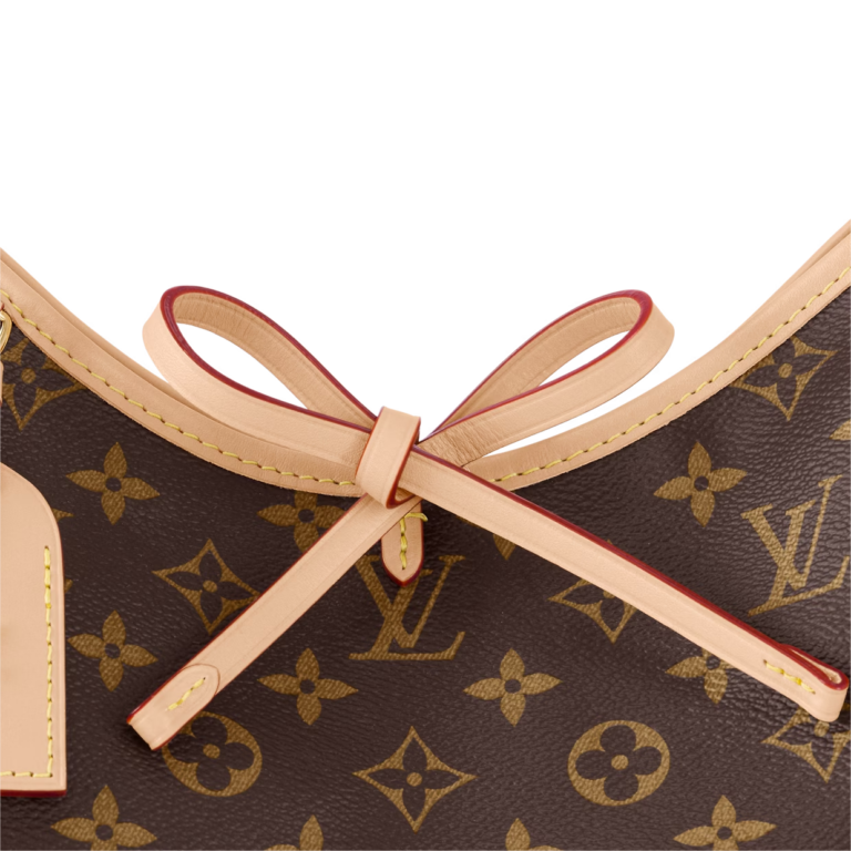 Túi Louis Vuitton CarryAll PM Bag ‘Brown’ M46203 - Ảnh 3