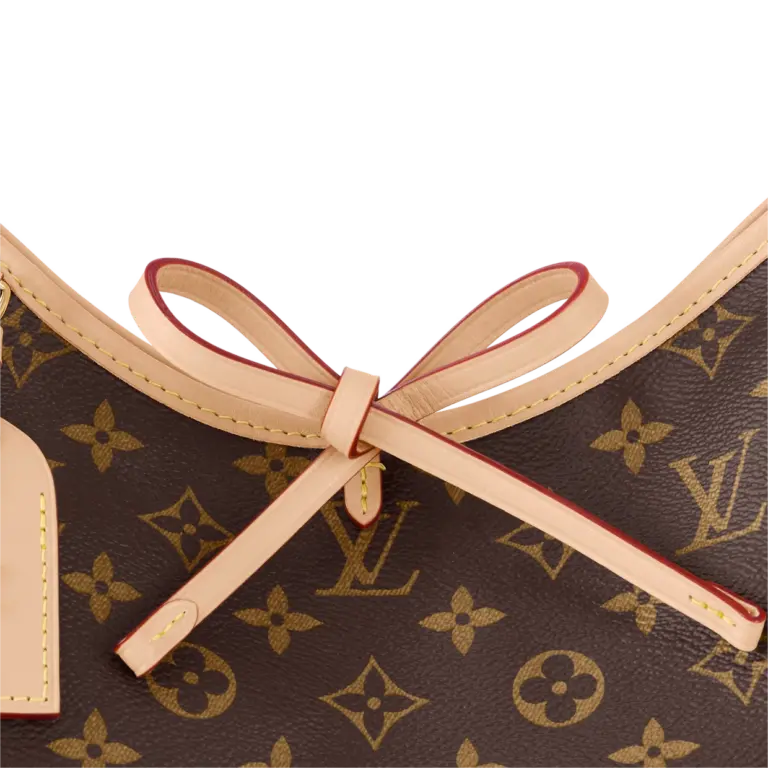 Túi Louis Vuitton CarryAll PM Bag ‘Brown’ M46203 - Ảnh 3