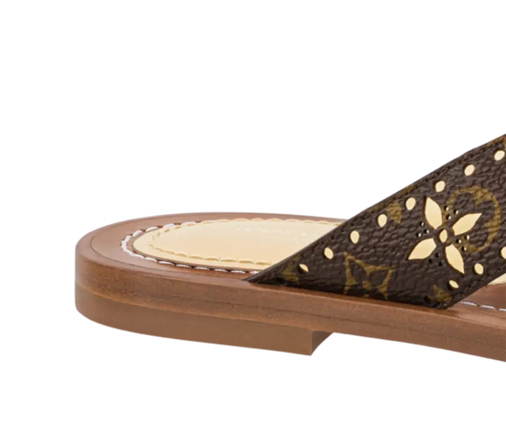 Dép Louis Vuitton Sunny Flat Sandals ‘Gold’ 1A9POQ - Ảnh 4