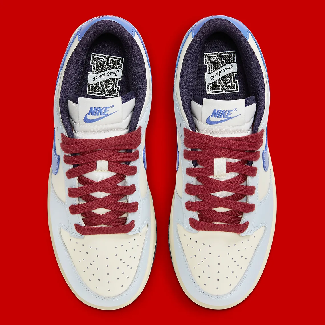 Giày Nike Dunk Low 'From Nike to You' FV8113-141 - Ảnh 6
