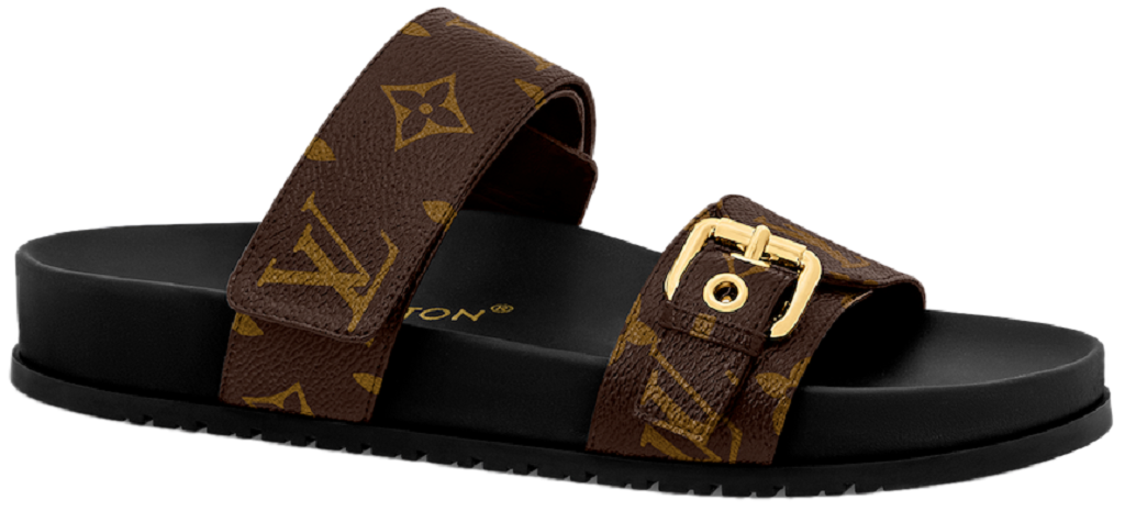 Dép Louis Vuitton Bom Dia Flat Comfort Mules 'Brown' 1AAW8H - Ảnh 2