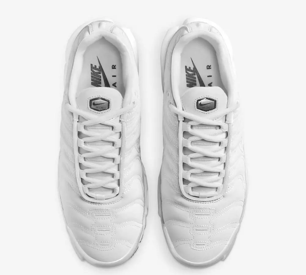 Giày Nike Air Max Plus Platinum Tint FZ4342-001 - Ảnh 4