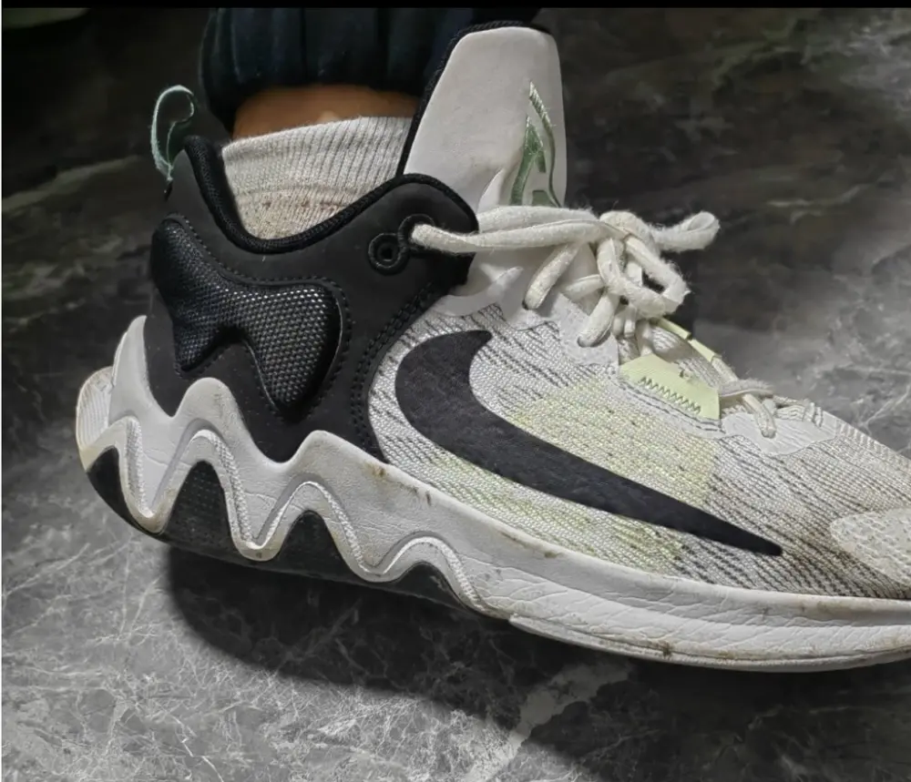 Giày Nike Giannis Immortality 2 Victoria Falls DM0826-101 - Ảnh 5