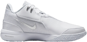 Giày Nike LeBron NXXT Gen AMPD 'White Silver' FJ1566-102