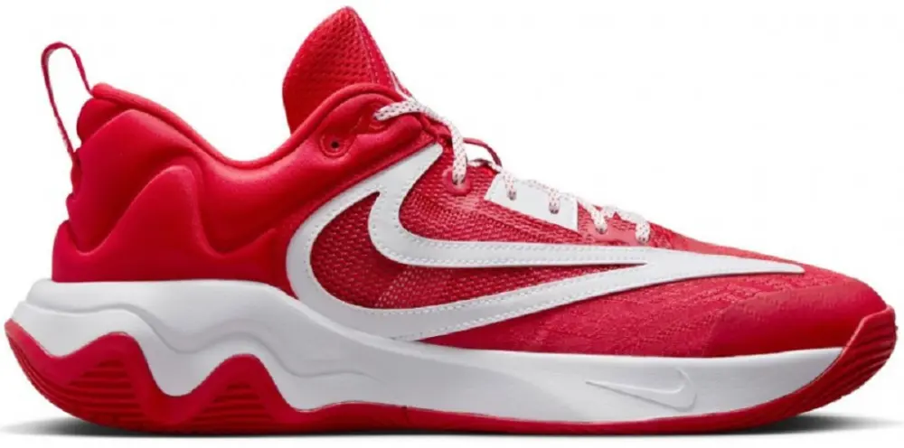 Giày Nike Giannis Immortality 3 All Star 'Red' FV4057-600
