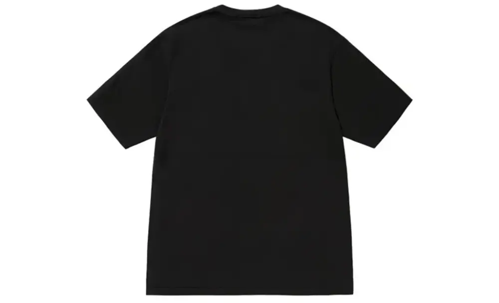 Alternative view of Áo Stussy Champion Pigment Dyed T-Shirt 'Black' 1904882h