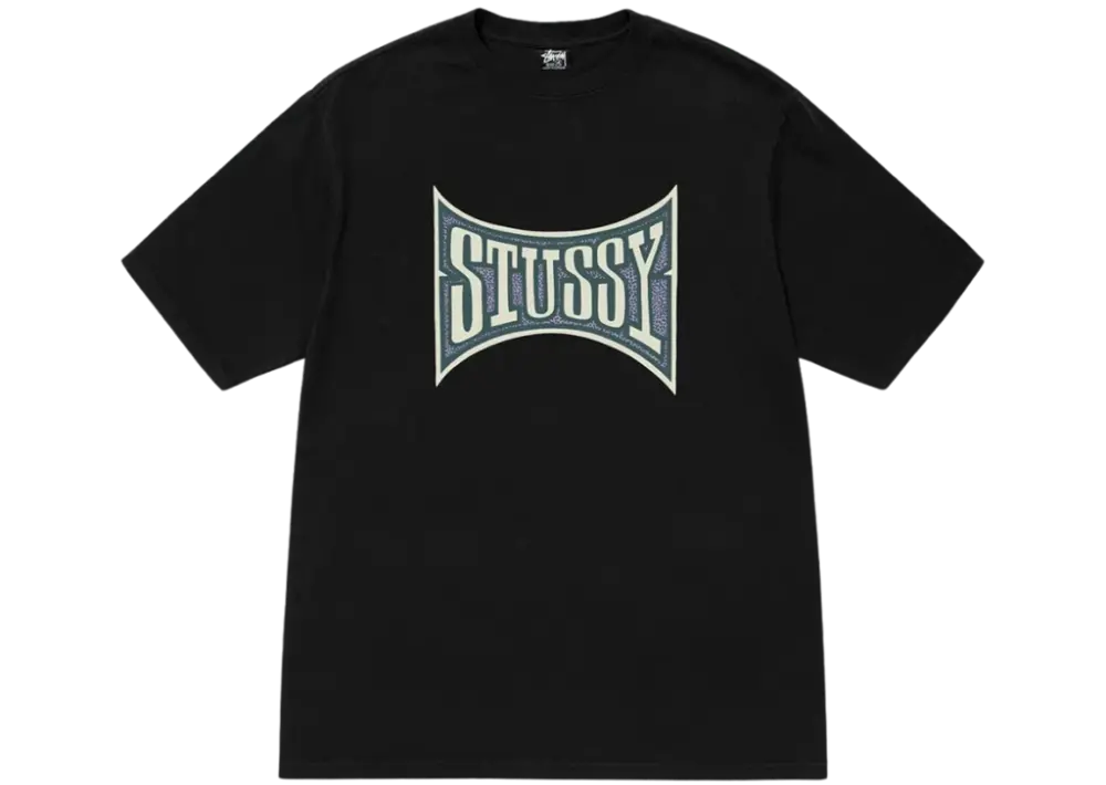 Áo Stussy Champion Pigment Dyed T-Shirt 'Black' 1904882h