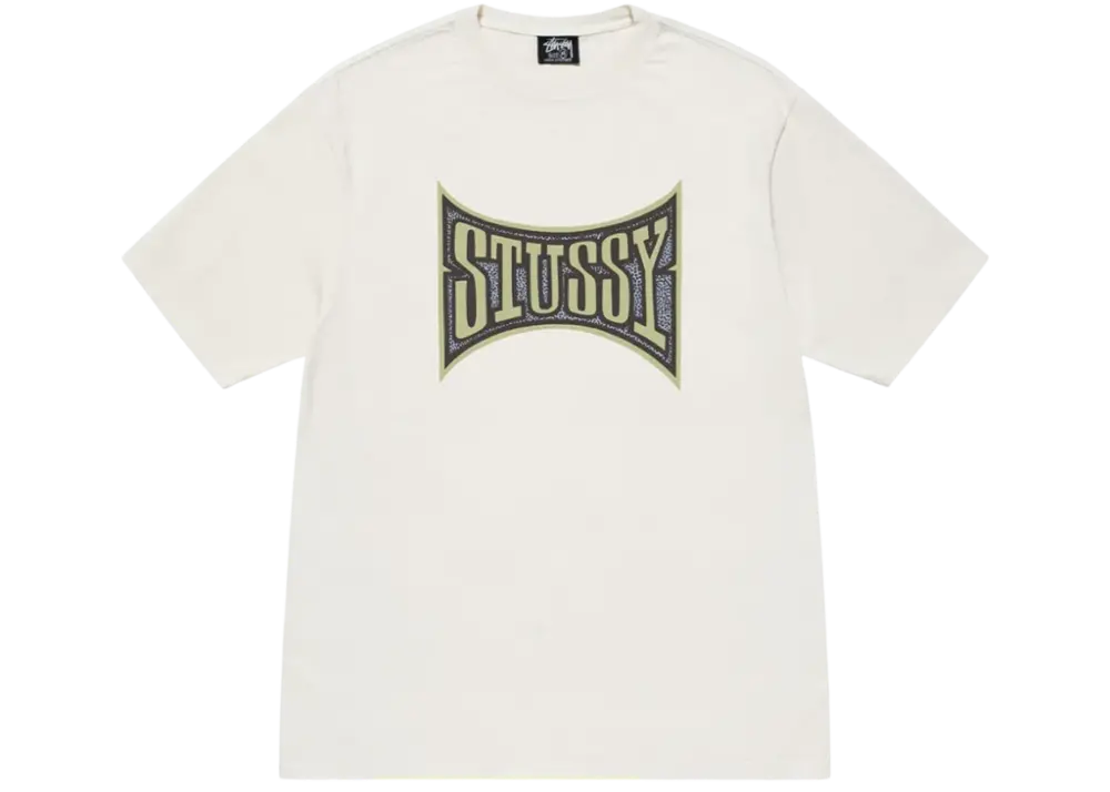 Áo Stussy Champion Pigment Dyed T-Shirt 'White' 1904882h