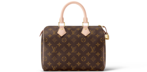 Túi Louis Vuitton Speedy 25 Monogram 'Brown' M41109