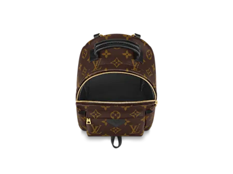Túi Louis Vuitton Palm Springs Mini Monogram Canvas 'Black' M44873 - Ảnh 3