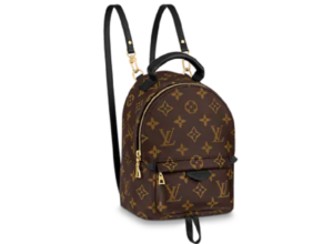 Túi Louis Vuitton Palm Springs Mini Monogram Canvas 'Black' M44873