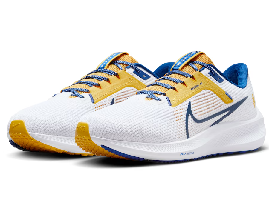 Giày Air Zoom Pegasus 40 'North Carolina A&T' DZ5952-100 - Ảnh 2