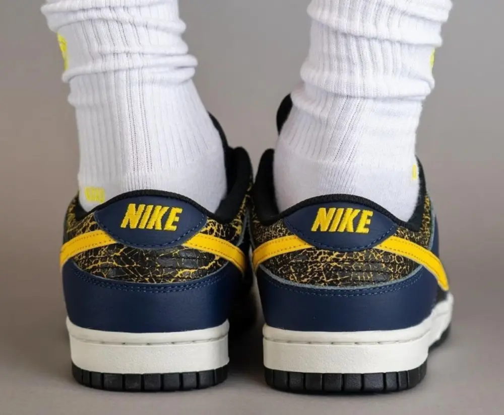 Giày Nike Dunk Low 'Vintage Michigan' FZ4014-010 - Ảnh 3