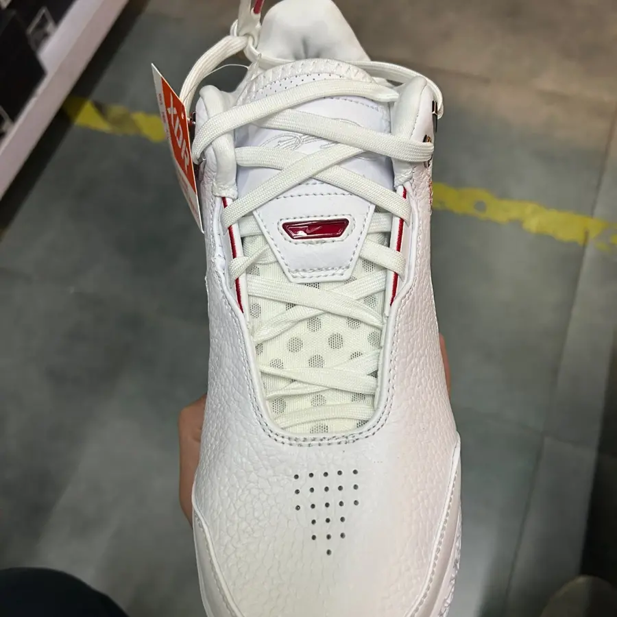 Giày Nike LeBron NXXT Gen AMPD ‘Metallic’ FJ1567-100 - Ảnh 6