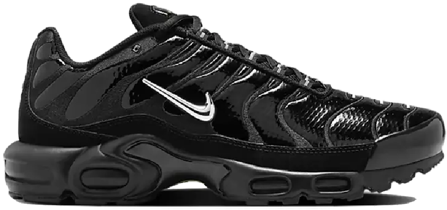Giày Nike Air Max Plus 'Black Chrome' FJ2591-001