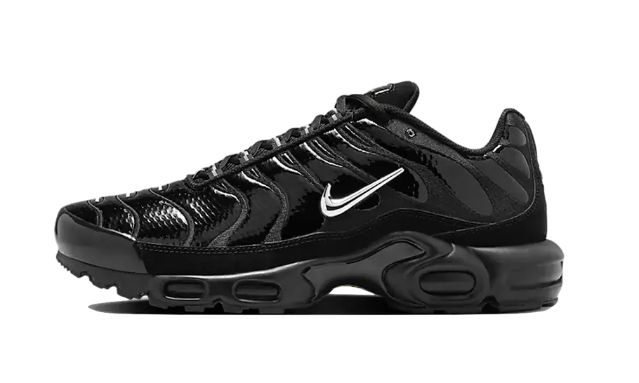 Giày Nike Air Max Plus 'Black Chrome' FJ2591-001 - Ảnh 4
