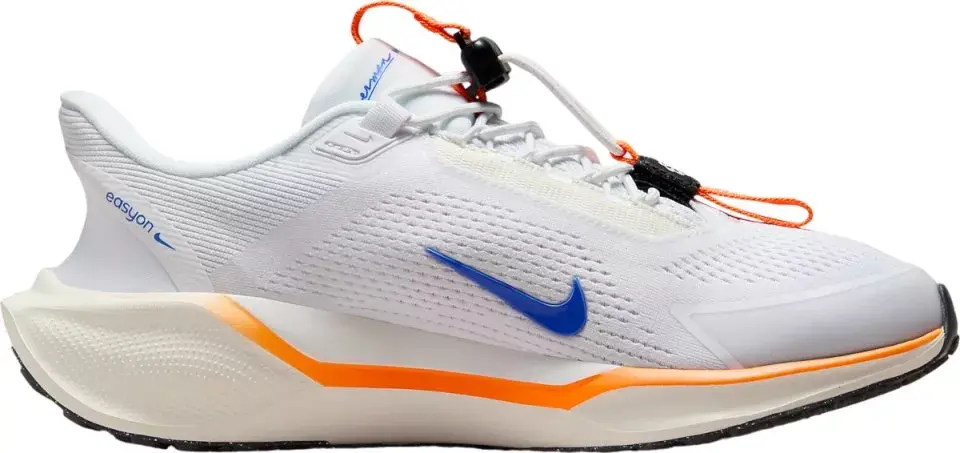 Giày Nike Pegasus EasyOn 'Blueprint' HM0375 900