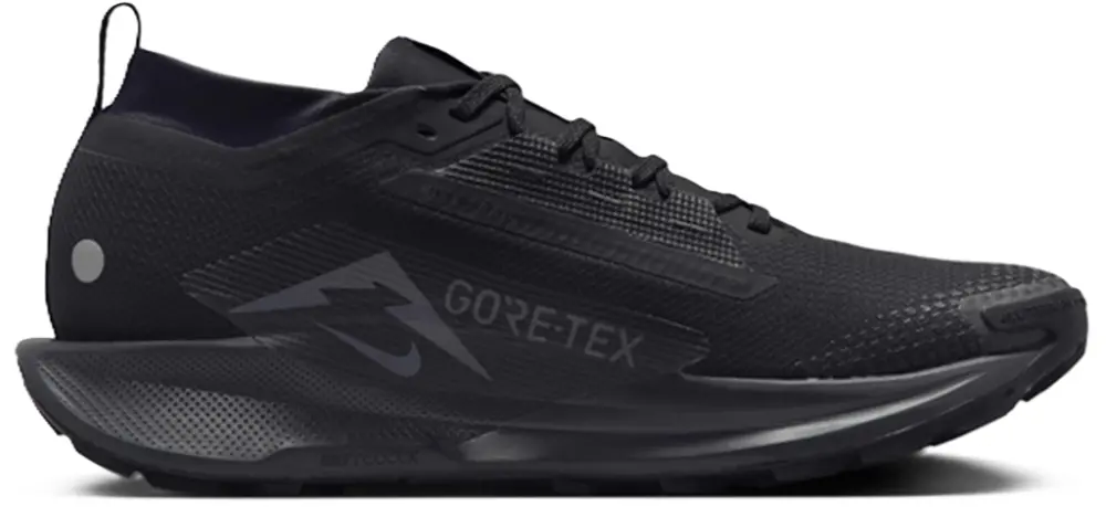 Giày Nike Pegasus Trail 5 GORE-TEX 'Black' FQ0908-002