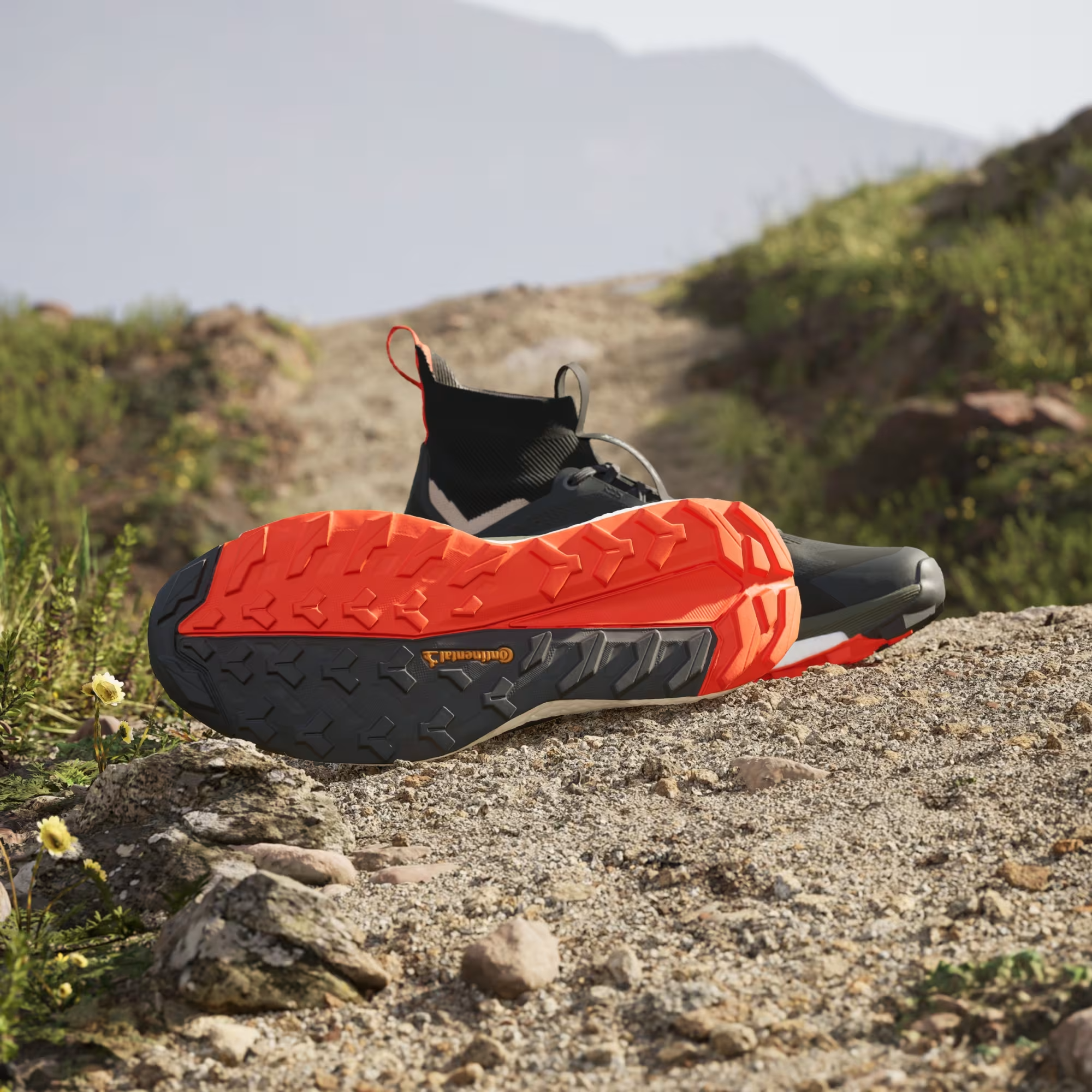 Giày Adidas Terrex Free Hiker 2.0 ‘Carbon Grey’ IE5115 - Ảnh 4